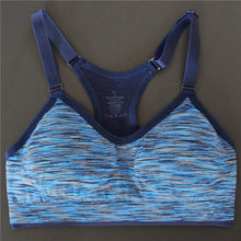 Absorb Sweat Sports Bra